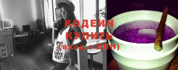 индика Козловка
