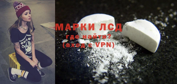 индика Козловка