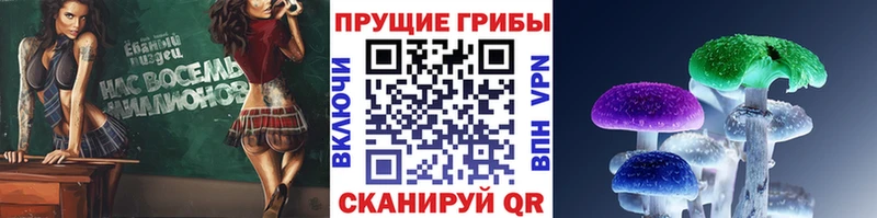 Псилоцибиновые грибы GOLDEN TEACHER Злынка