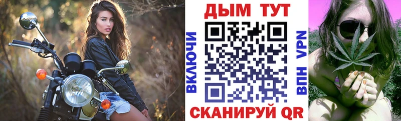 Бошки Шишки Amnesia Злынка